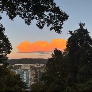 Meet your Posher, Andy